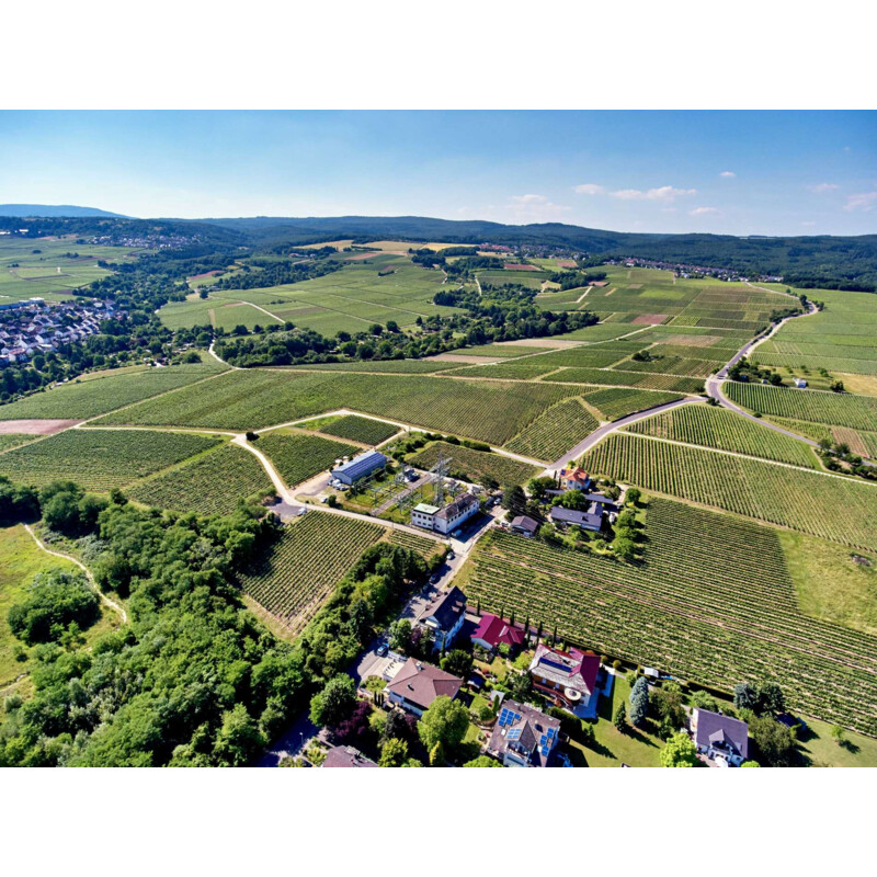 Quelle: W. Schönbach
