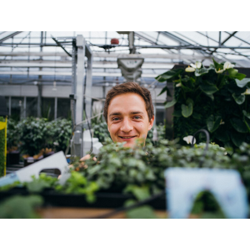 Quelle: Hessen schafft Wissen