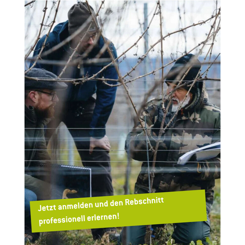 (c) Matthias Scheidweiler